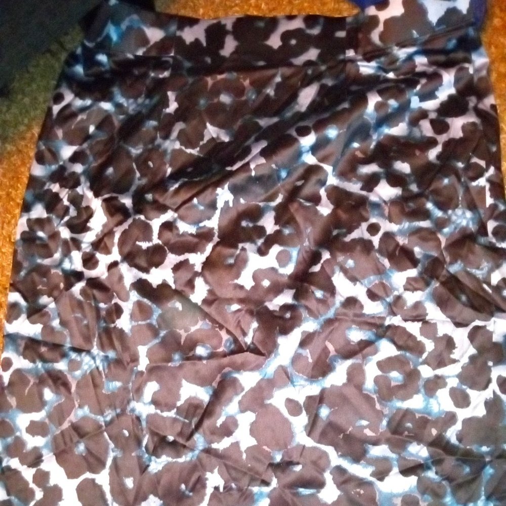 Ann Taylor Skirt